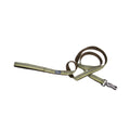 Coastal Products K9 Explorer Reflective Dog Leash With Scissor Snap Fern Medium/Large 1" x 6'