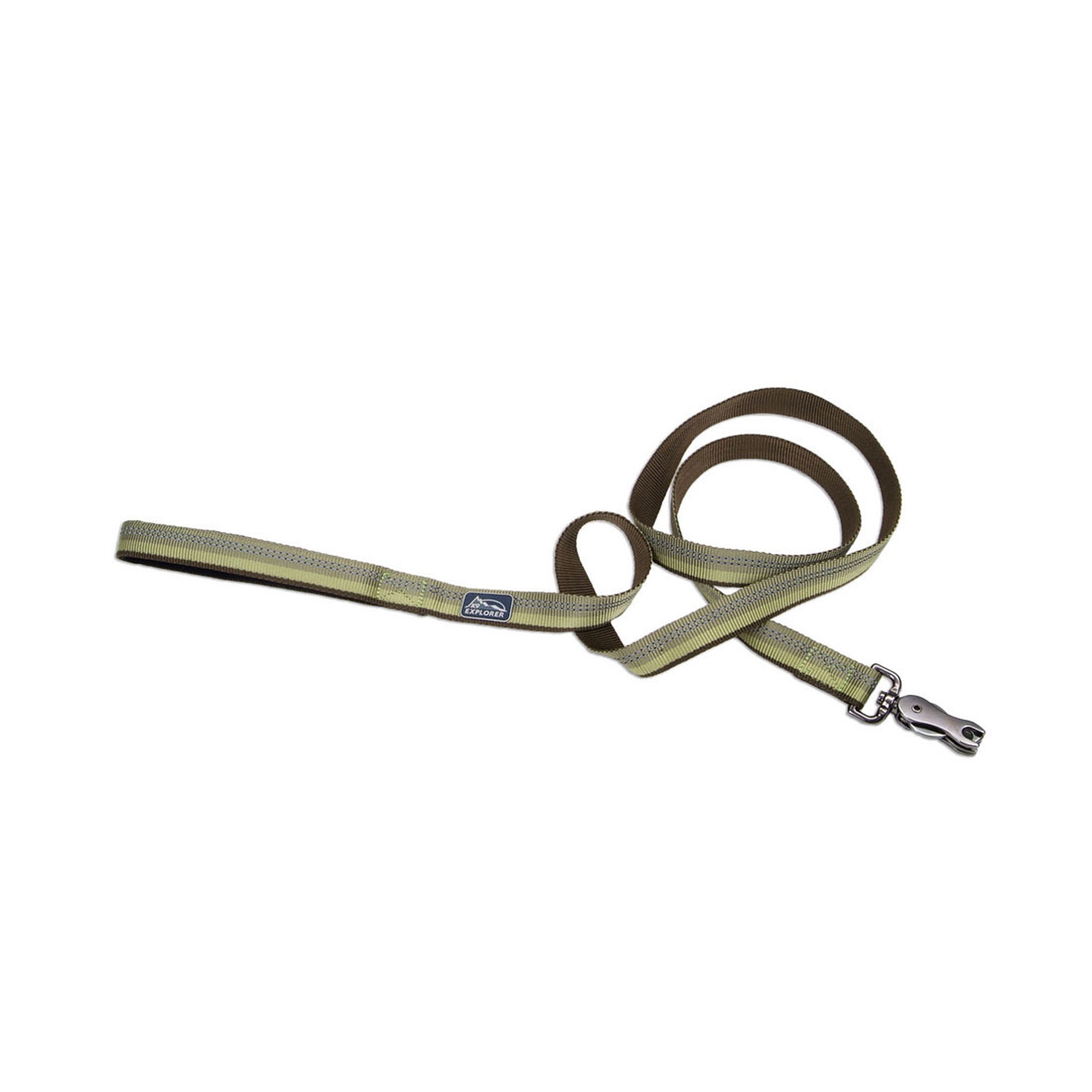 Coastal Products K9 Explorer Reflective Dog Leash With Scissor Snap Fern Medium/Large 1" x 6'