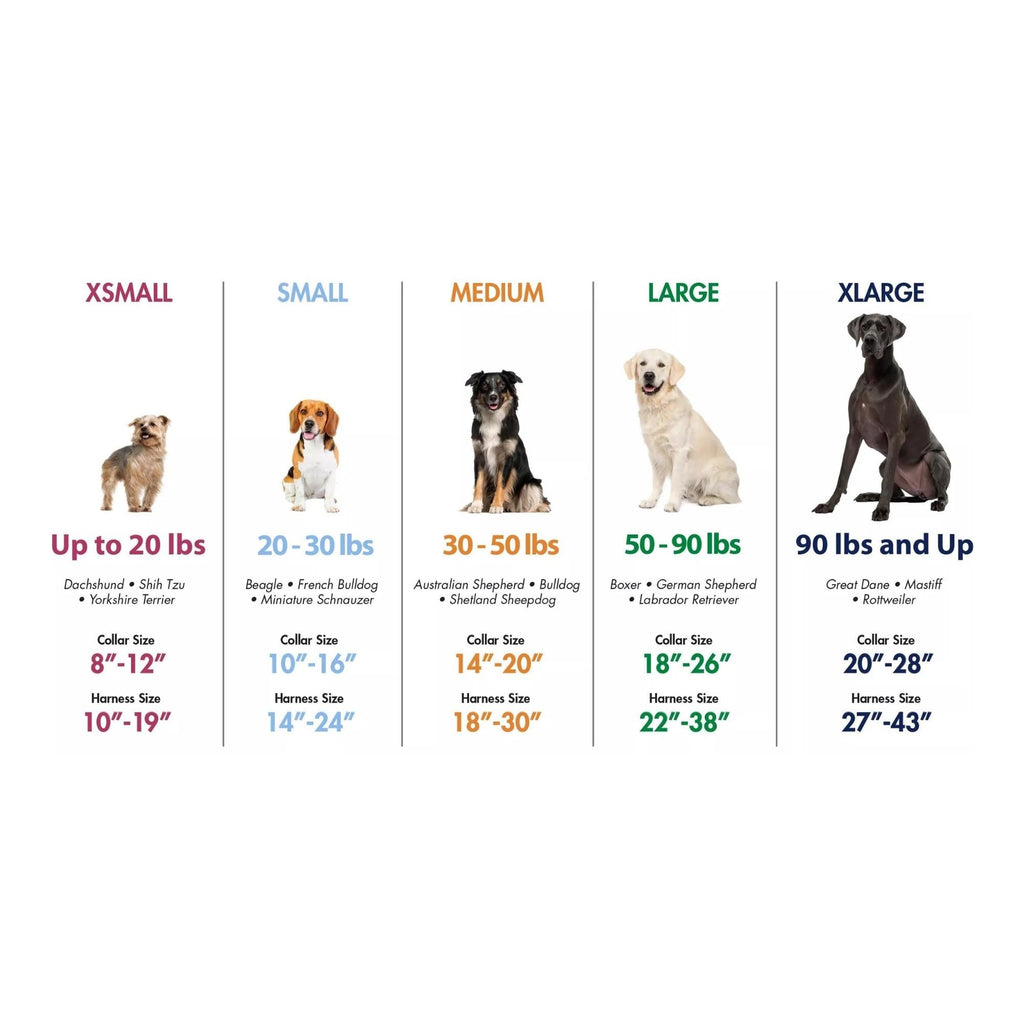 K9 Explorer Brights Reflective Adjustable Dog Collar Ocean Large 1"x 18"-26" Default Title