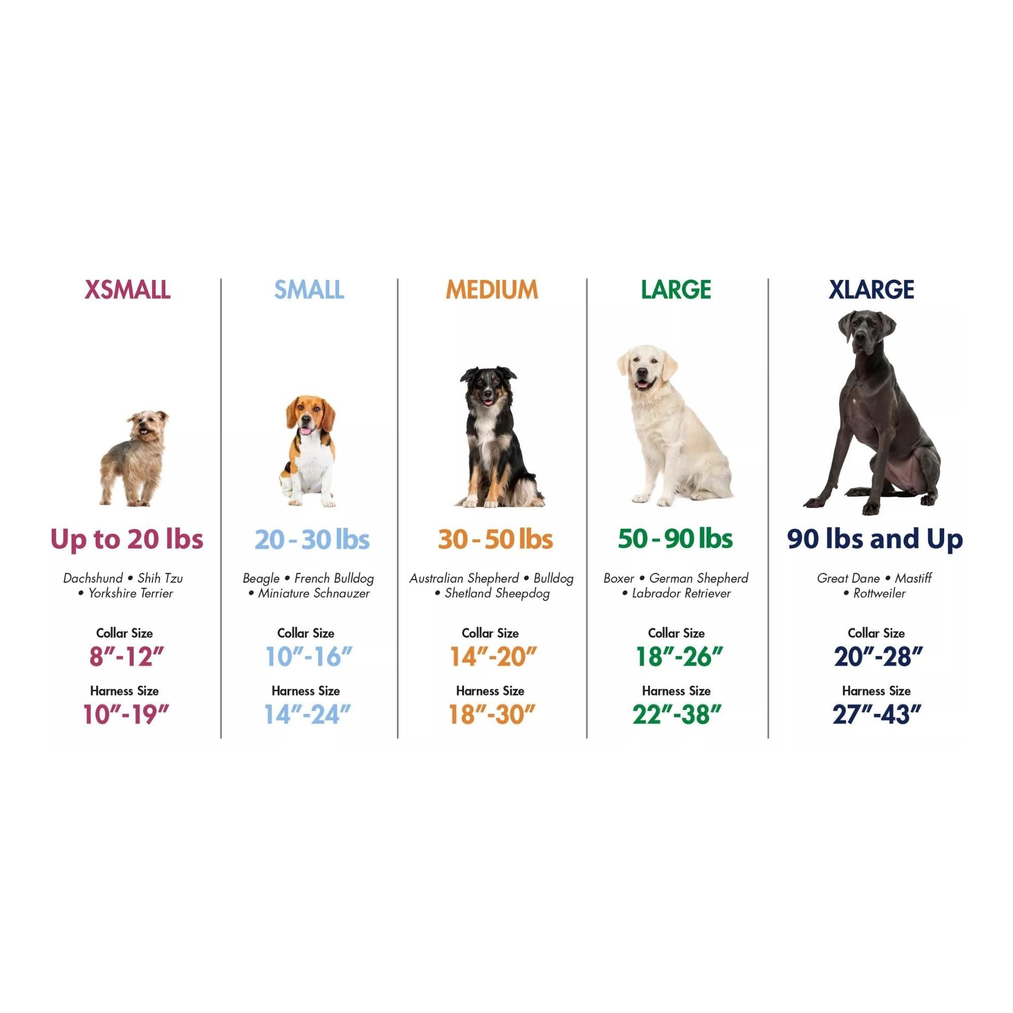 K9 Explorer Brights Reflective Adjustable Dog Collar Ocean Large 1"x 18"-26" Default Title