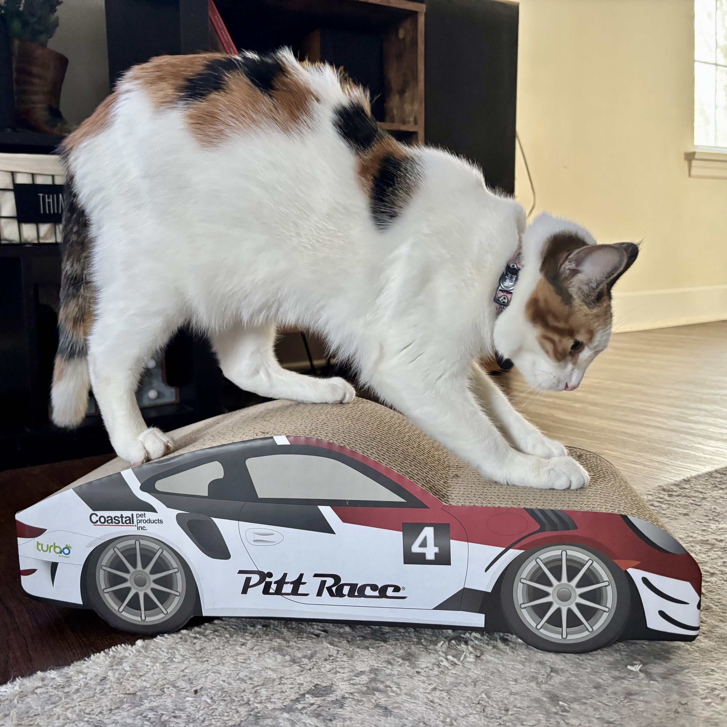 Turbo by Coastal Race Car Cat Scratcher