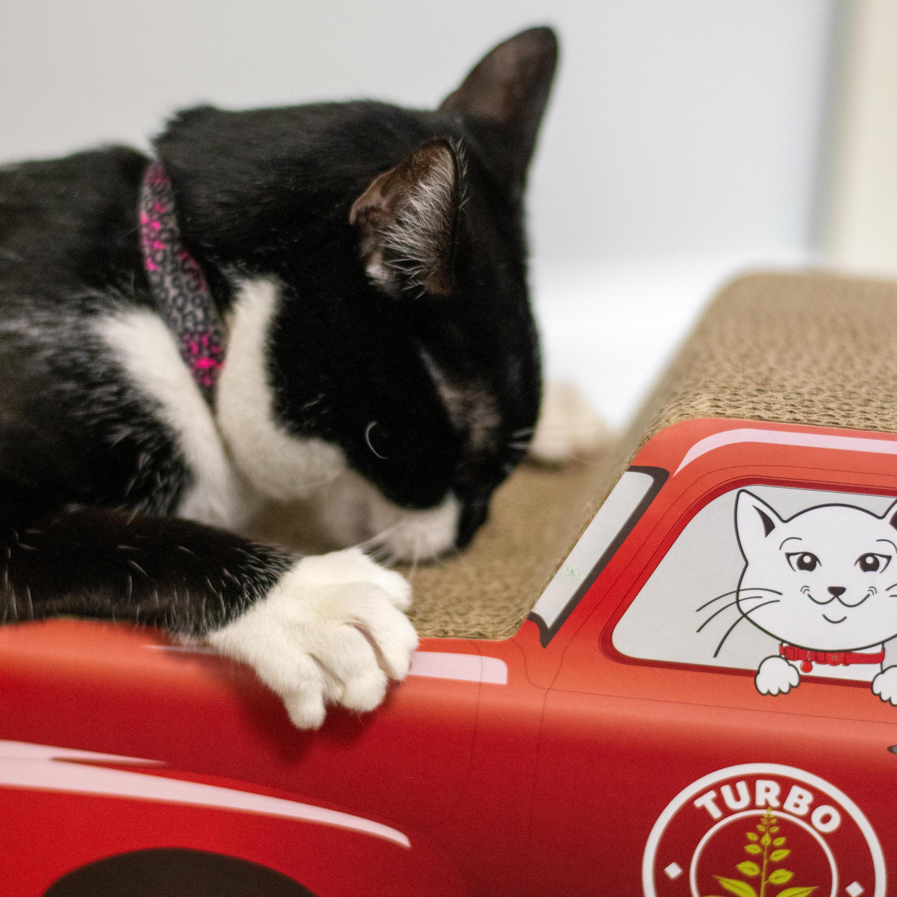 Turbo® by Coastal Truck Cat Scratcher, Red, 21"L x 6.25"H x 8"W