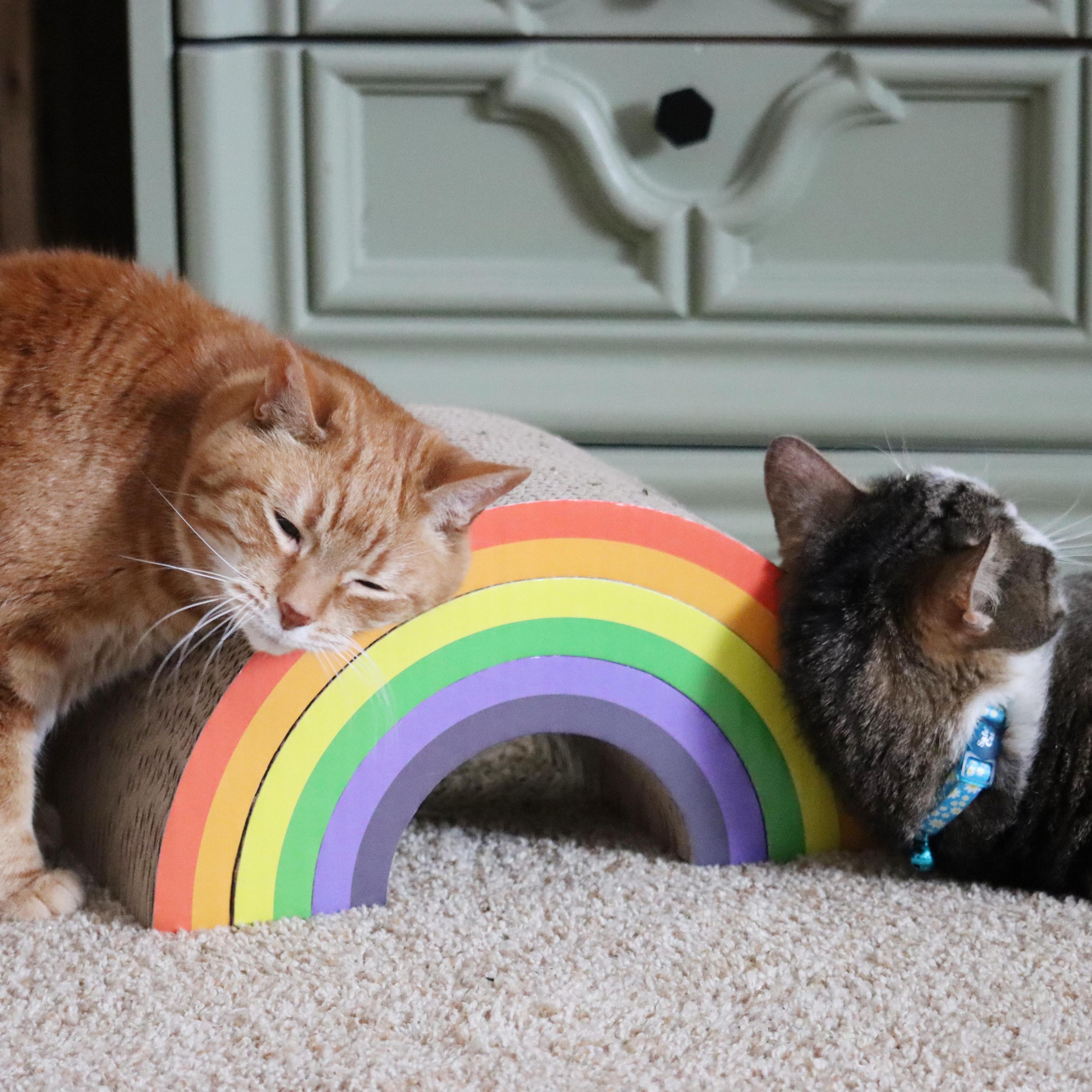 Turbo®by Coastal Rainbow Stack Cat Scratcher