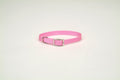 Coastal Single-Ply Nylon Collar Bright Pink 3/4X16In