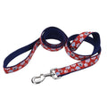 Ribbon Nylon Dog Leash Red 1ea/1 In X 6 ft