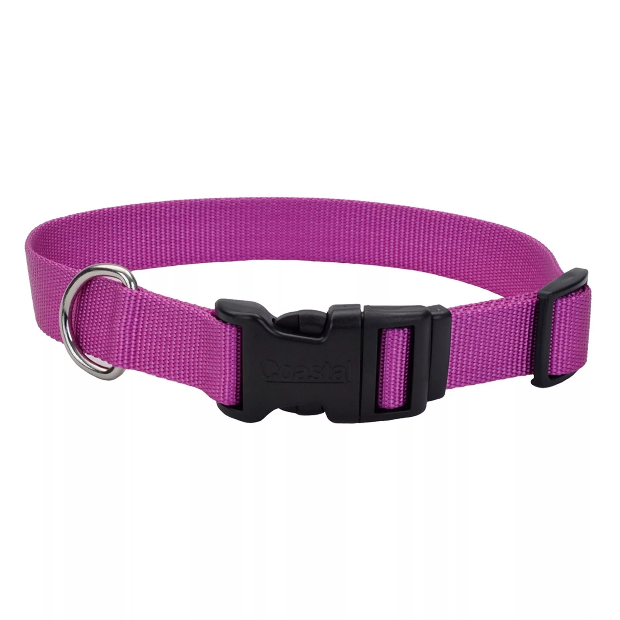 Coastal Adjustable Dog Collar with Plastic Buckle Orchid Large 1" X 18"-26"