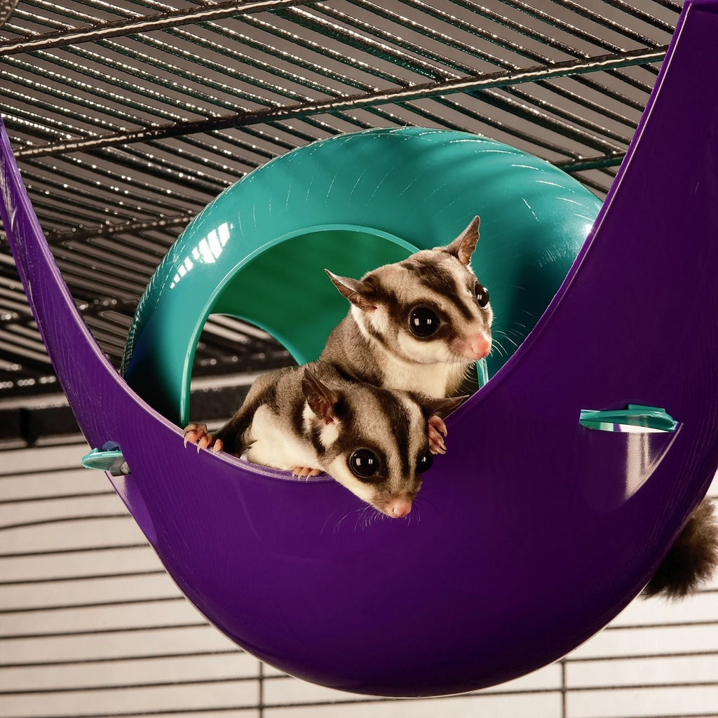 Lixit Critter Space Pod Small Animal House Purple/Blue 1ea/LG