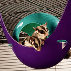 Lixit Critter Space Pod Small Animal House Purple/Blue 1ea/LG