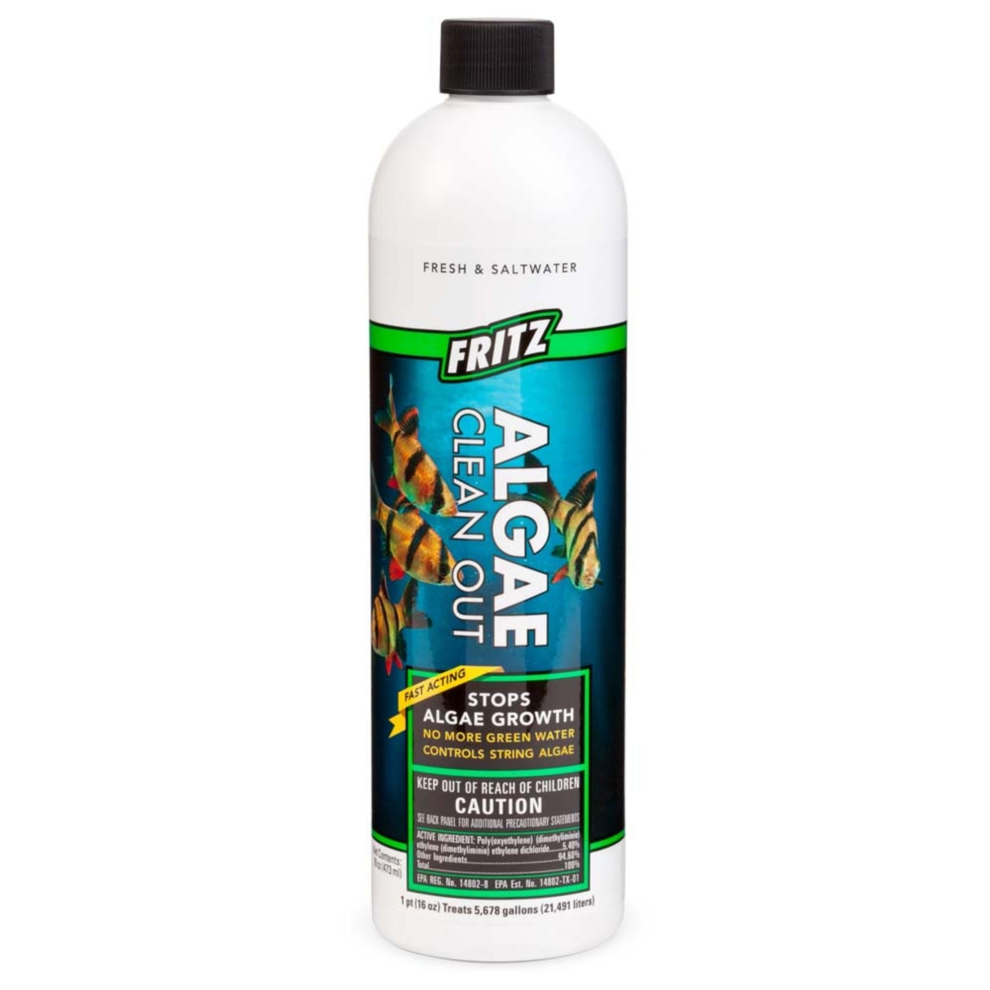 Fritz Algae Clean Out 1ea/16 floz.