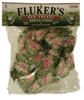 Flukers Red Coleus Repta-Vines Green; Red 6 ft