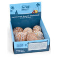 Fluker's Hermit Crab Growth Shells Display Assorted 1ea/10 pk, XL