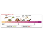 Zilla Rapid Sense Decor Medium Poplar Log 1ea/Medium