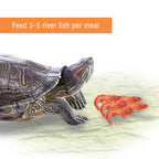 Zilla Reptile Munchies River Shrimp 1ea/2 oz