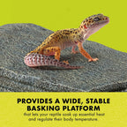 Zilla Herp Hotel 1ea/Large