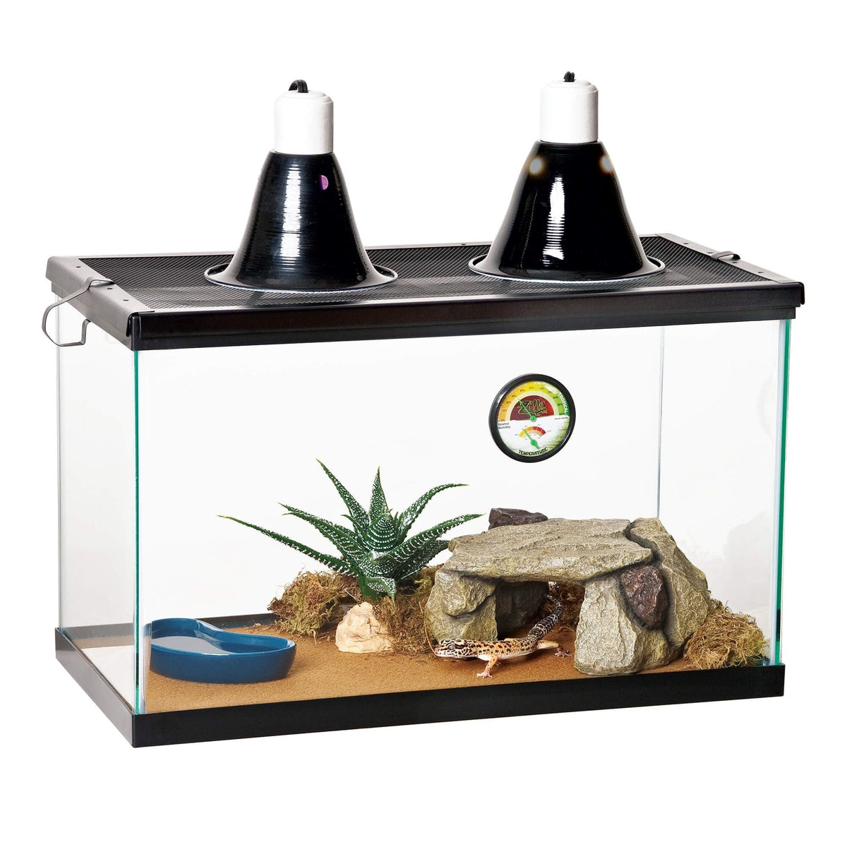 Zilla Desert Reptile Terrarium Starter Kit 1ea/10 gal