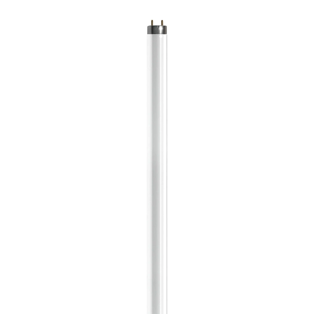 Zilla T8 Fluorescent Bulbs Tropical 1ea/18 in