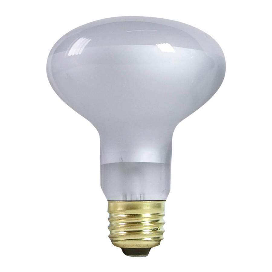 Zilla Incandescent Spot Bulb Day White, 1ea/150 W