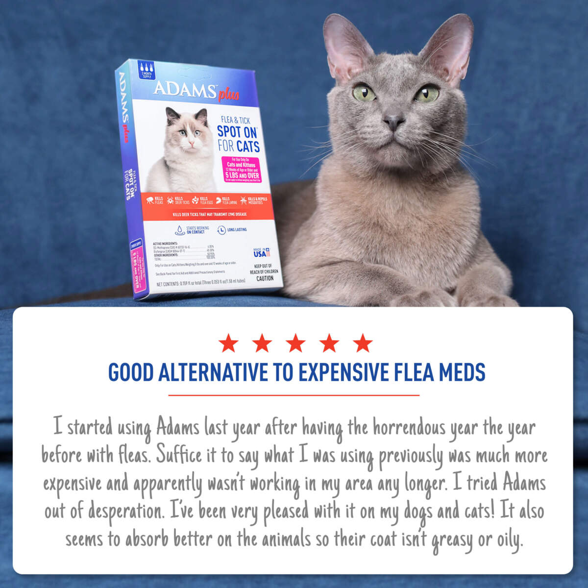 Adams Plus Flea  Tick Spot On for Cats 1ea/Over 5 lb