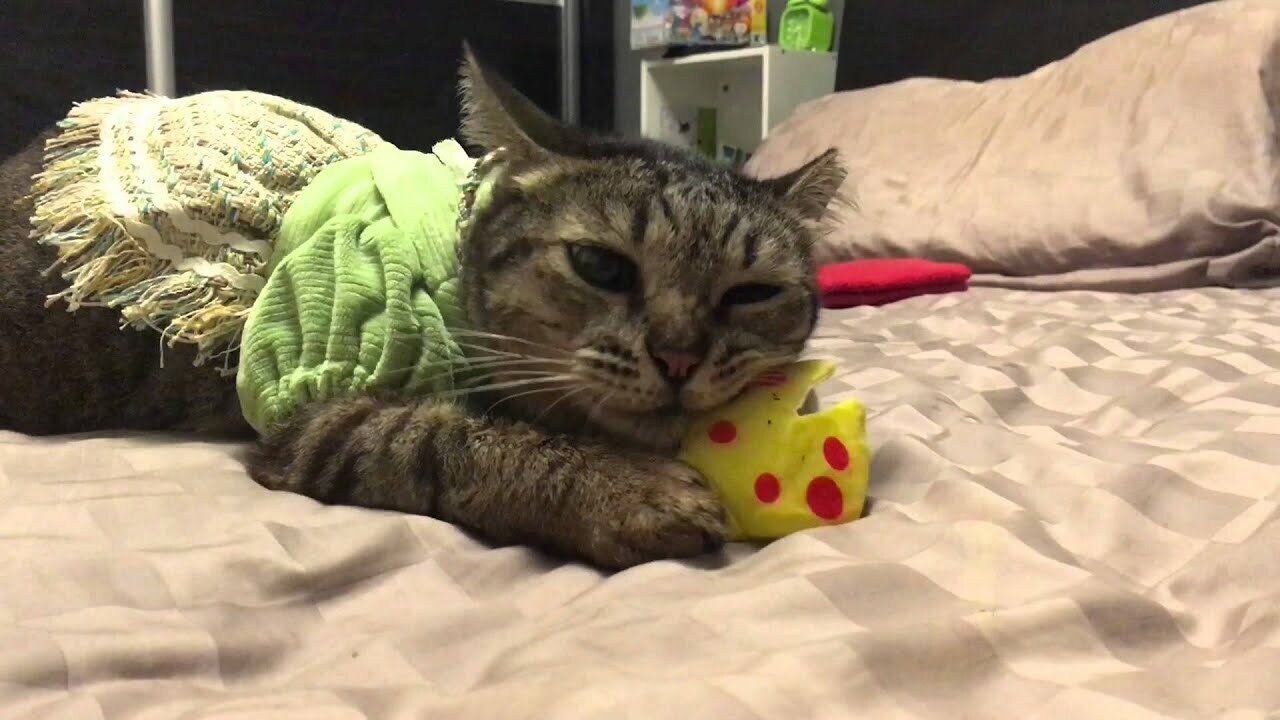 Yeowww LadyKrinkleBug Catnip Cat Toy