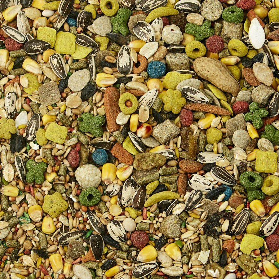 Kaytee Fiesta Mouse  Rat Food 1ea/2 lb