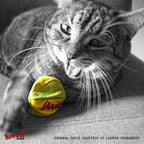 Yeowww LadyKrinkleBug Catnip Cat Toy