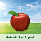 Kaytee Timothy Biscuits Baked Treat  Apple 1ea/4 oz