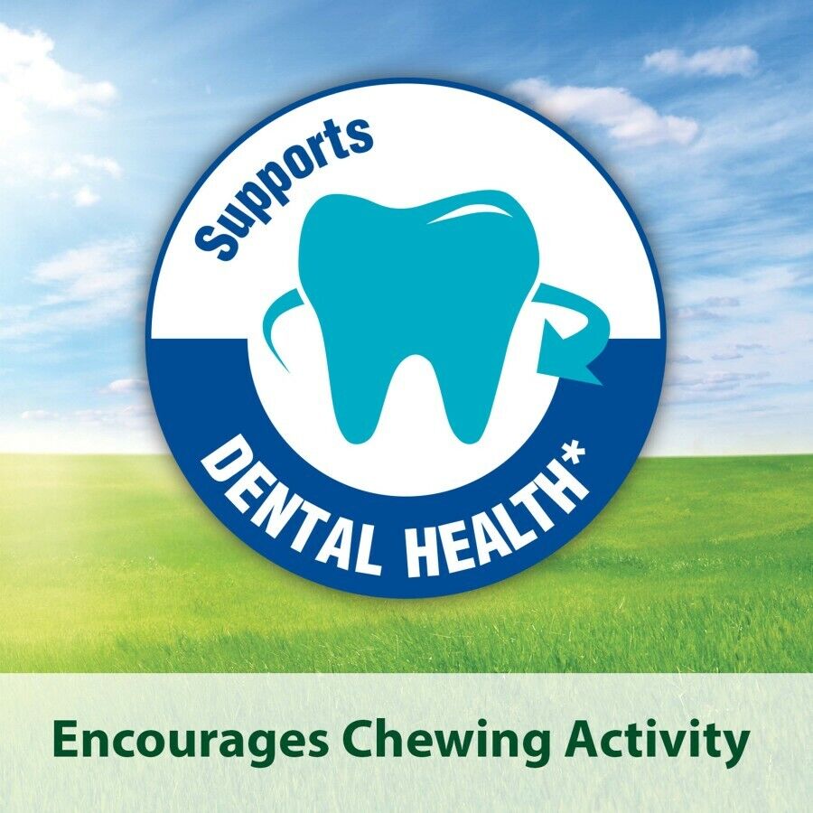 Kaytee Timothy Biscuits Baked Treat  Carrot 1ea/4 oz