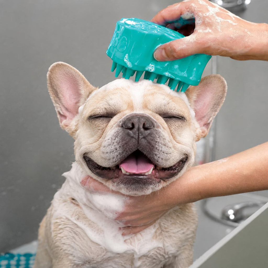 Bubbles Rubber Dog Grooming Brush, Silicone Bath Scrubber with Shampoo Dispenser, Large, Teal