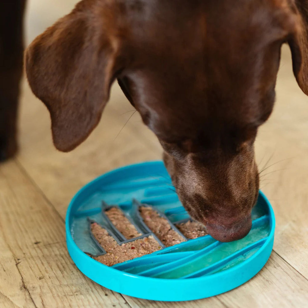 Messy Mutts Dog Silicone Interactive Lick Bowl City Pattern Blue