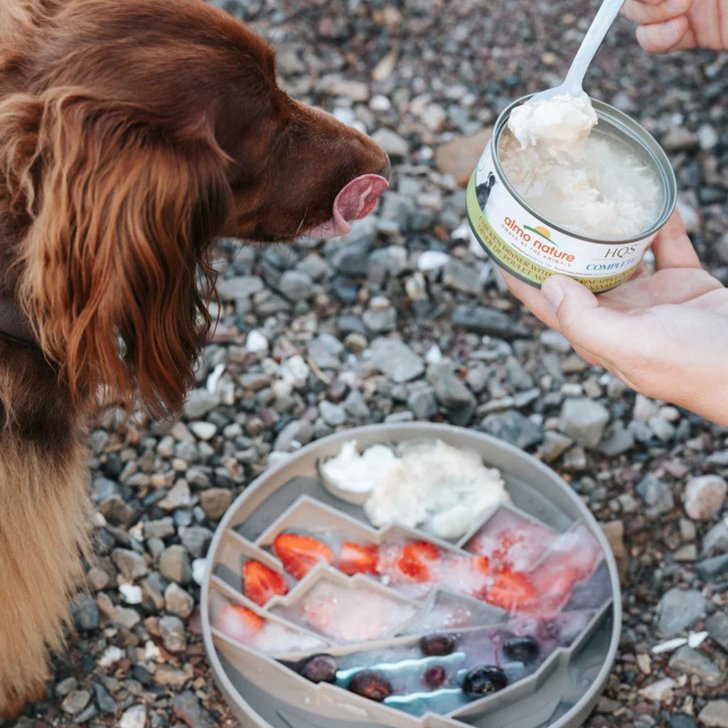 Messy Mutts Dog Silicone Interactive Lick Bowl Mountain Pattern Warm Grey