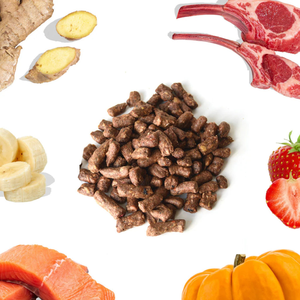 Healthy Bud Dog Freeze-dried 14oz. Lamb Salmon Bites