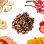 Healthy Bud Dog Freeze-dried 14oz. Lamb Salmon Bites