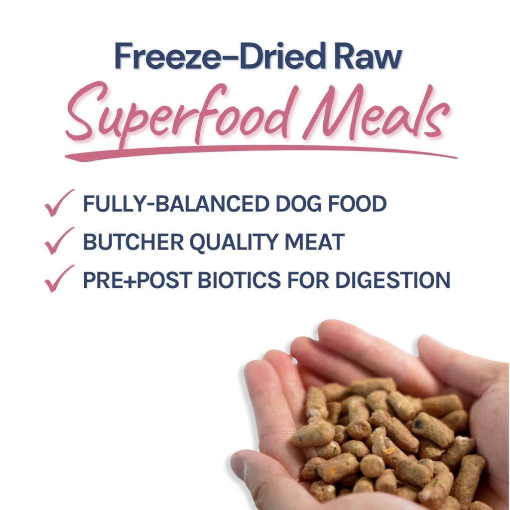Healthy Bud Dog Freeze-dried 14oz. Lamb Salmon Bites