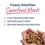 Healthy Bud Dog Freeze-dried 14oz. Lamb Salmon Bites