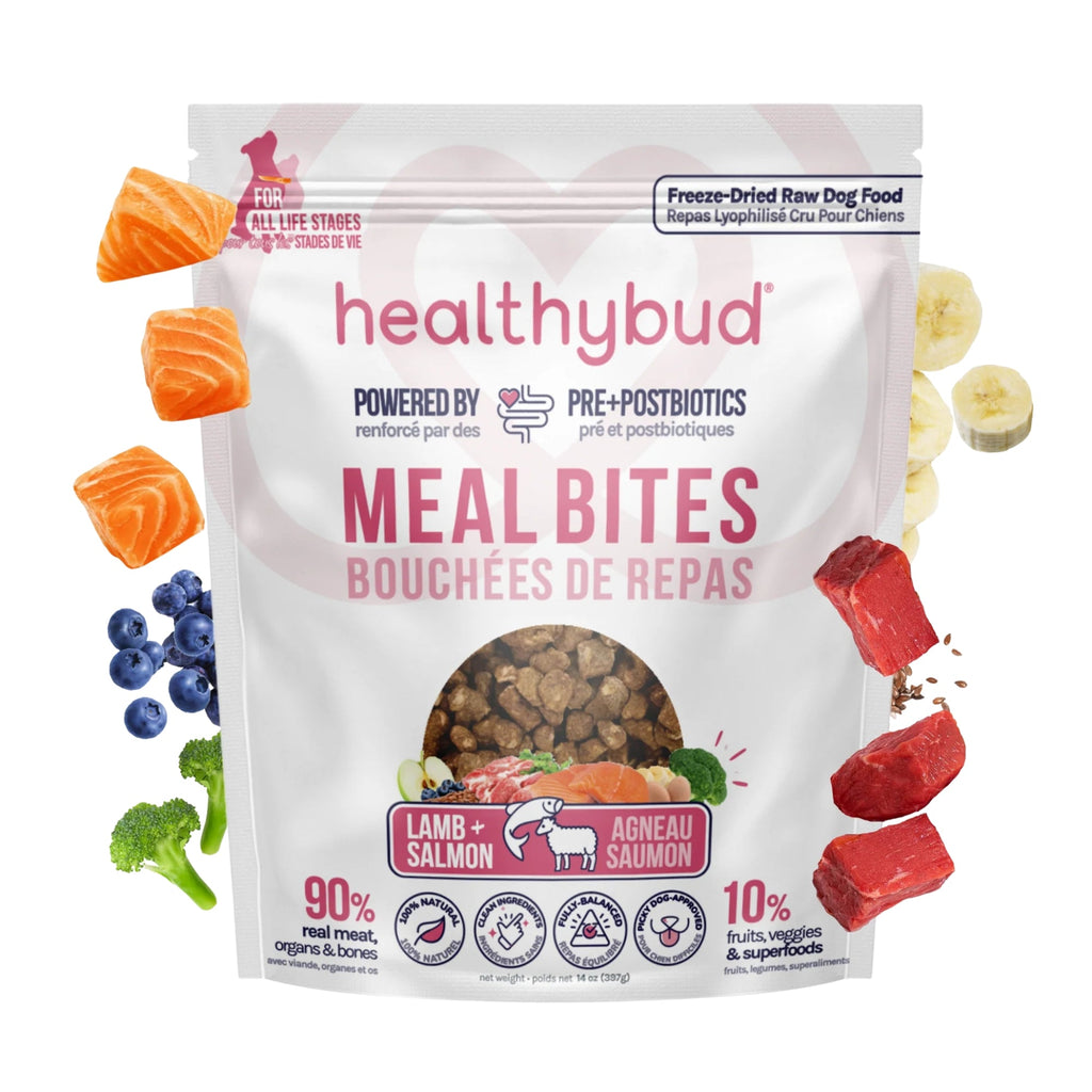 Healthy Bud Dog Freeze-dried 14oz. Lamb Salmon Bites