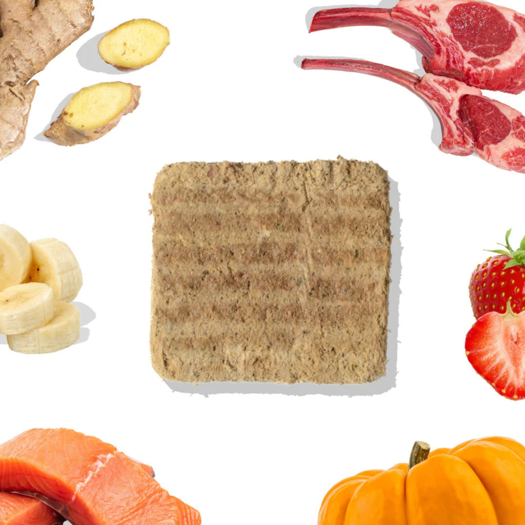 Healthy Bud Dog Freeze-dried 14oz. Lamb Salmon Patties