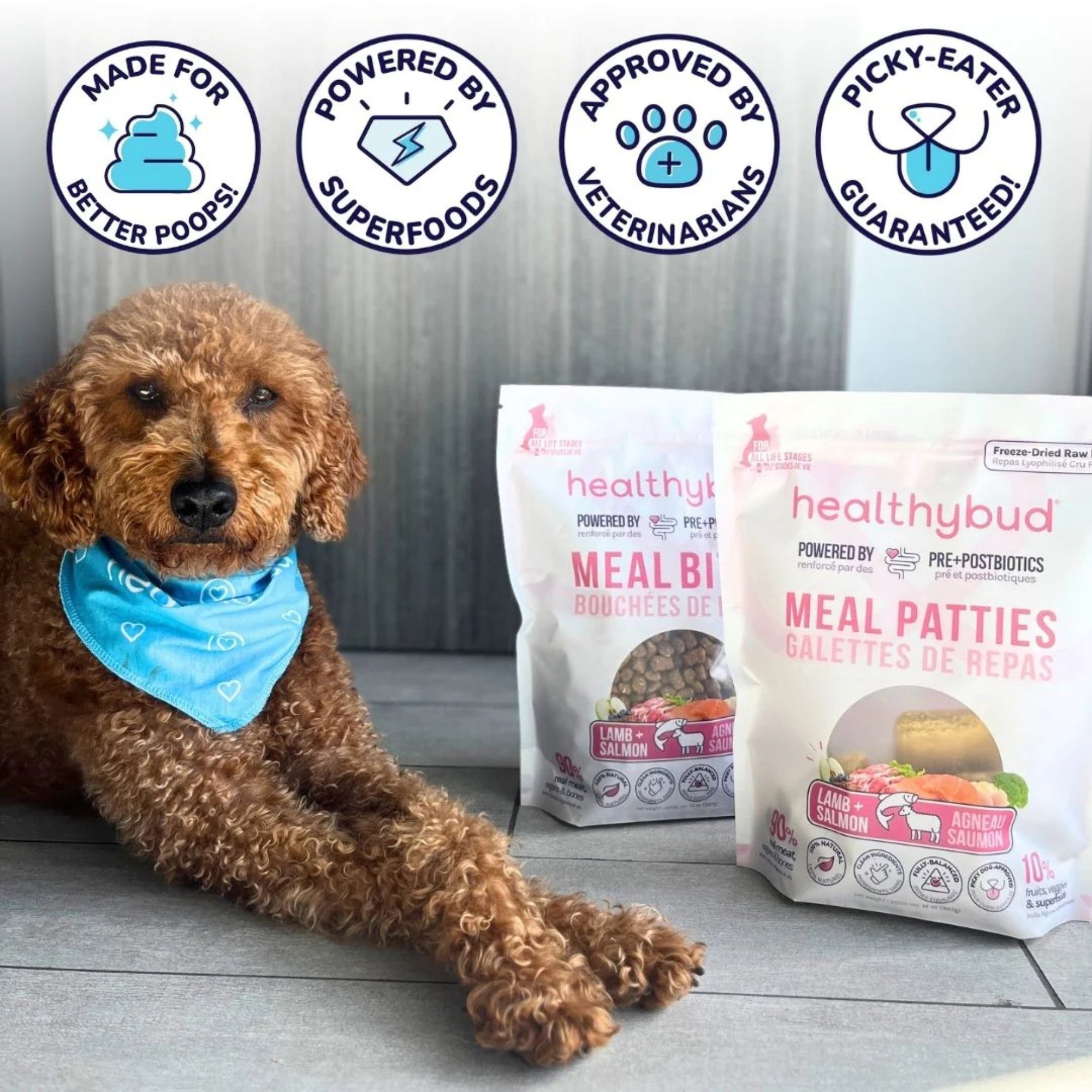Healthy Bud Dog Freeze-dried 14oz. Lamb Salmon Patties