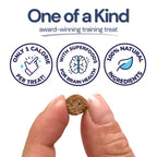 Healthy Bud Dog 6.5oz. Training Treats Salmon with Superfoods