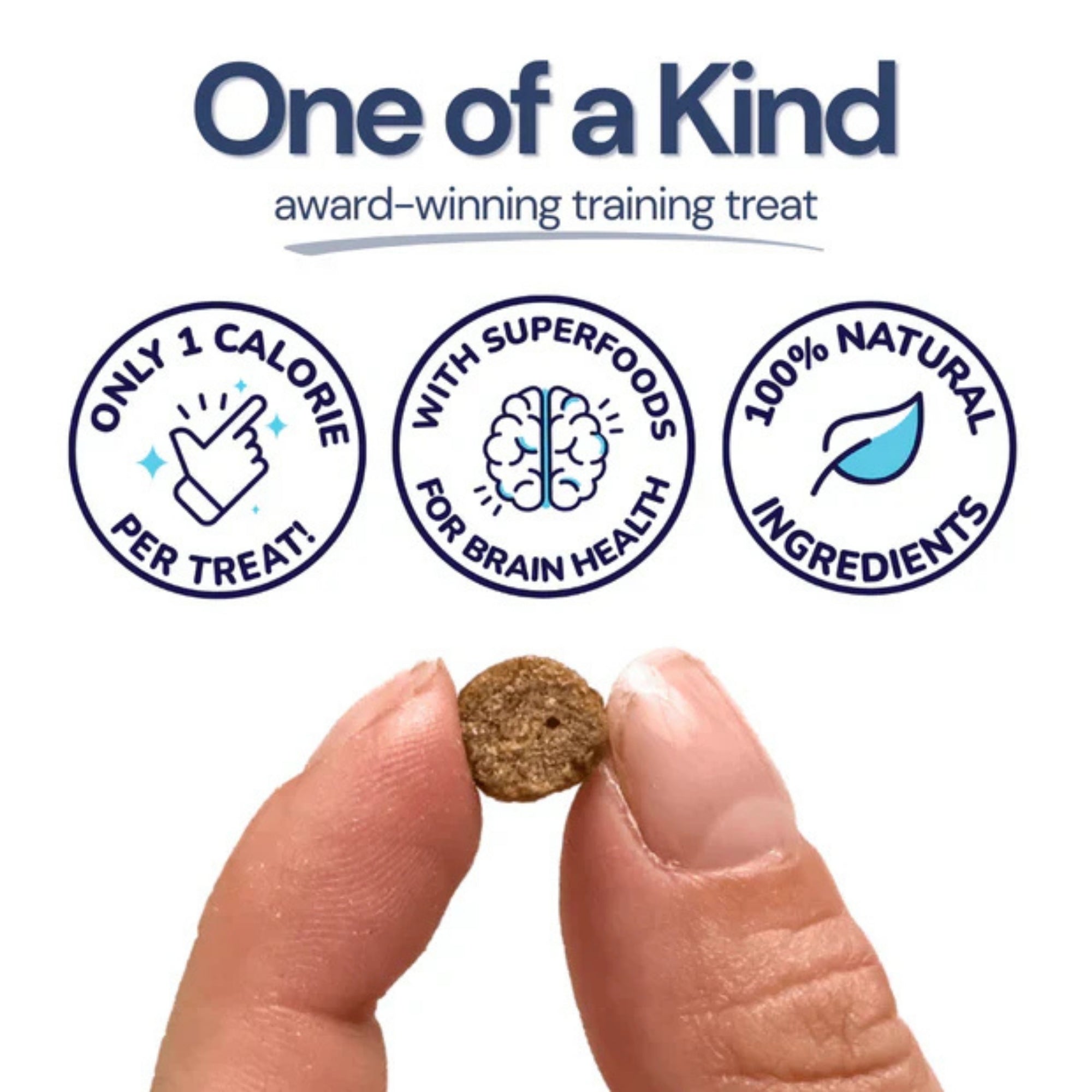 Healthy Bud Dog 6.5oz. Training Treats Salmon with Superfoods