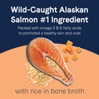 CANIDAE PURE goodness 2-in-1 Pate Dog Food/Topper Salmon & Sweet Potatoes in Bone Broth 11.5oz