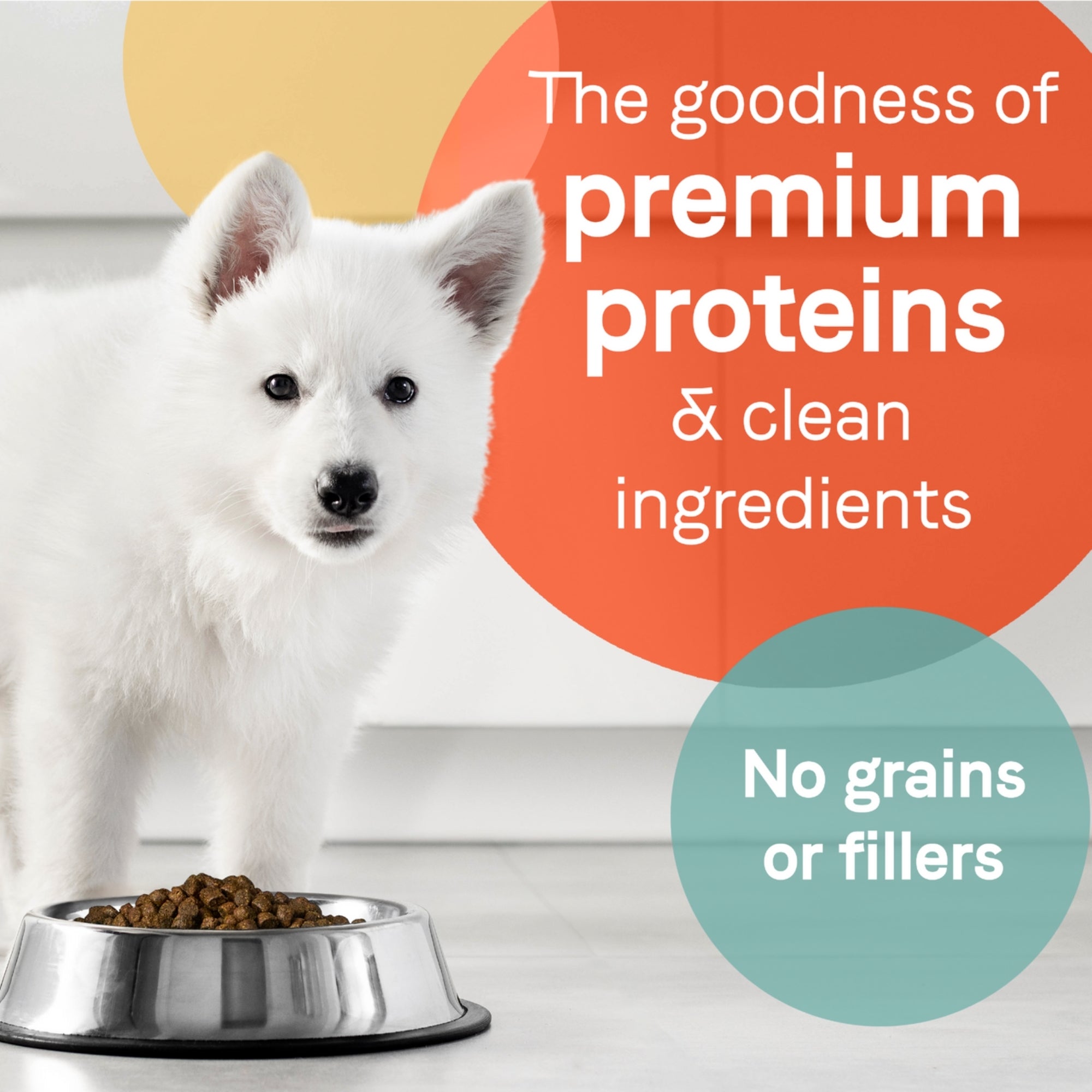 CANIDAE PURE Goodness Grain-Free LID Dry Puppy Food Real Salmon & Sweet Potato 4lb