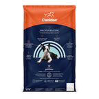 CANIDAE PURE Goodness w/Wholesome Grains Dry Puppy Food Salmon & Oatmeal 4lb