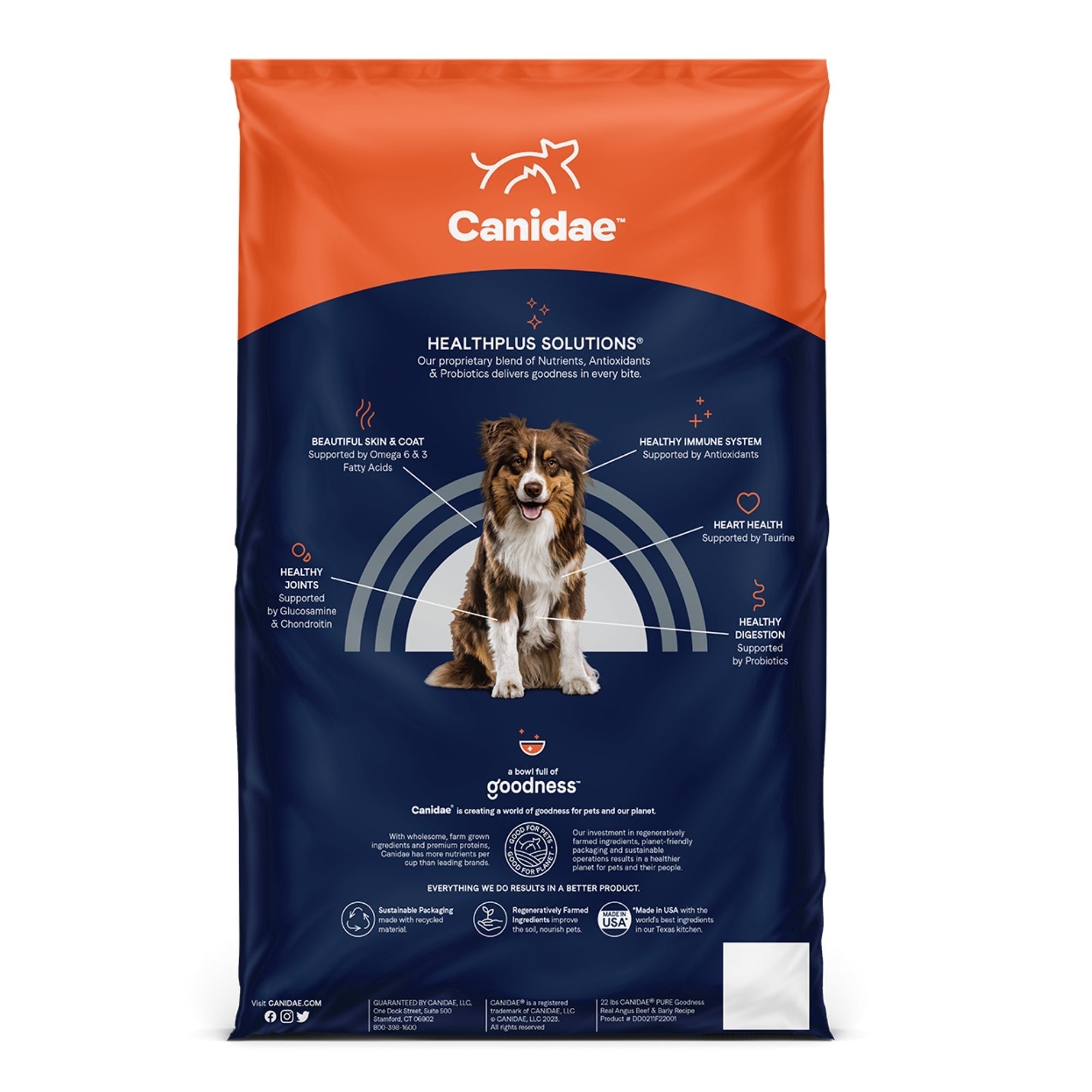 CANIDAE PURE Goodness w/Wholesome Grains Dry Dog Food Beef & Barley 22lb