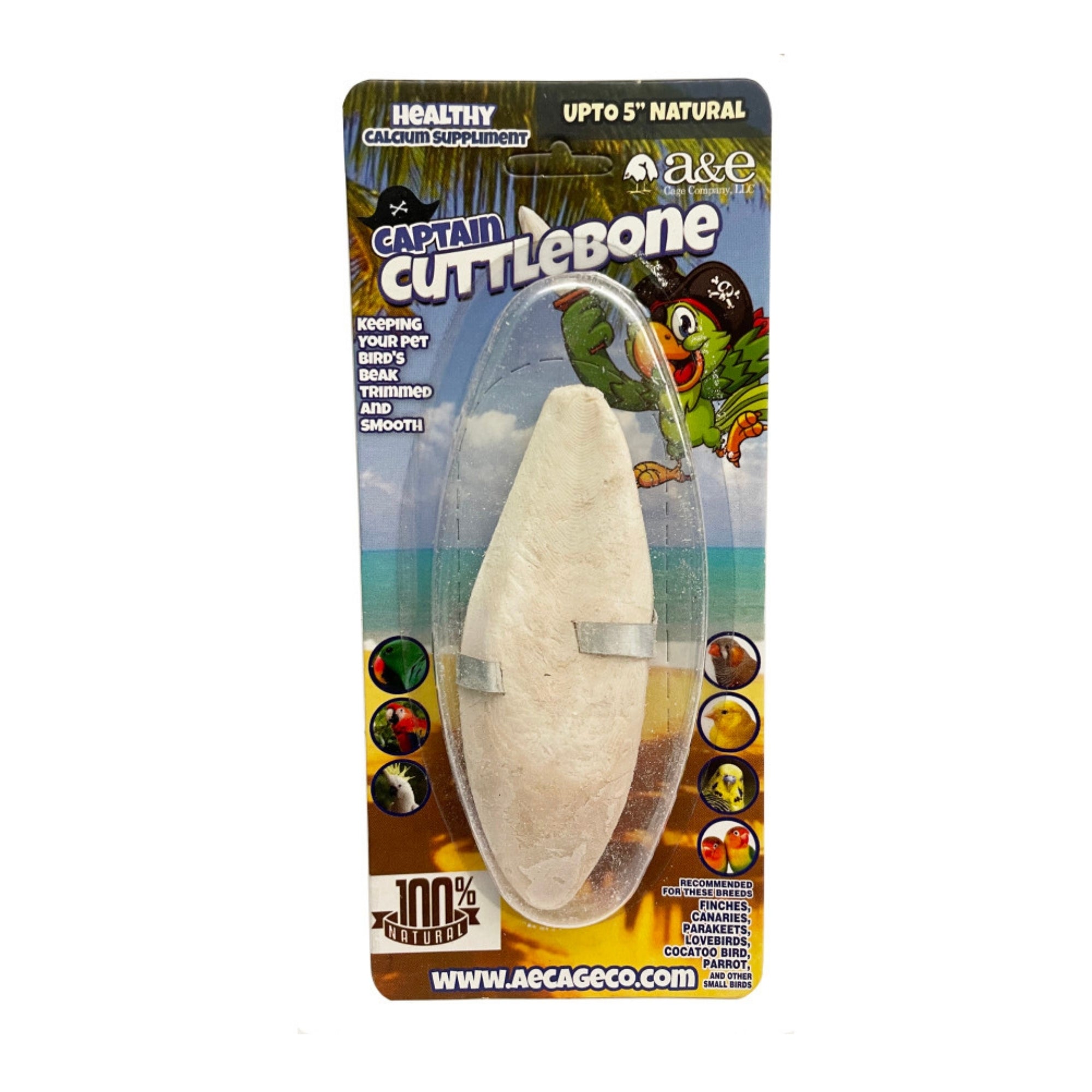 A & E Cages Natural Cuttlebone 1ea/5 in.  (Pack of 3)