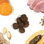 Healthy Bud Dog 4.6oz. Gut Bistro Turkey & Liver Functional Treat