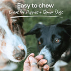 Healthy Bud Dog 4.6oz. Gut Bistro Turkey & Liver Functional Treat