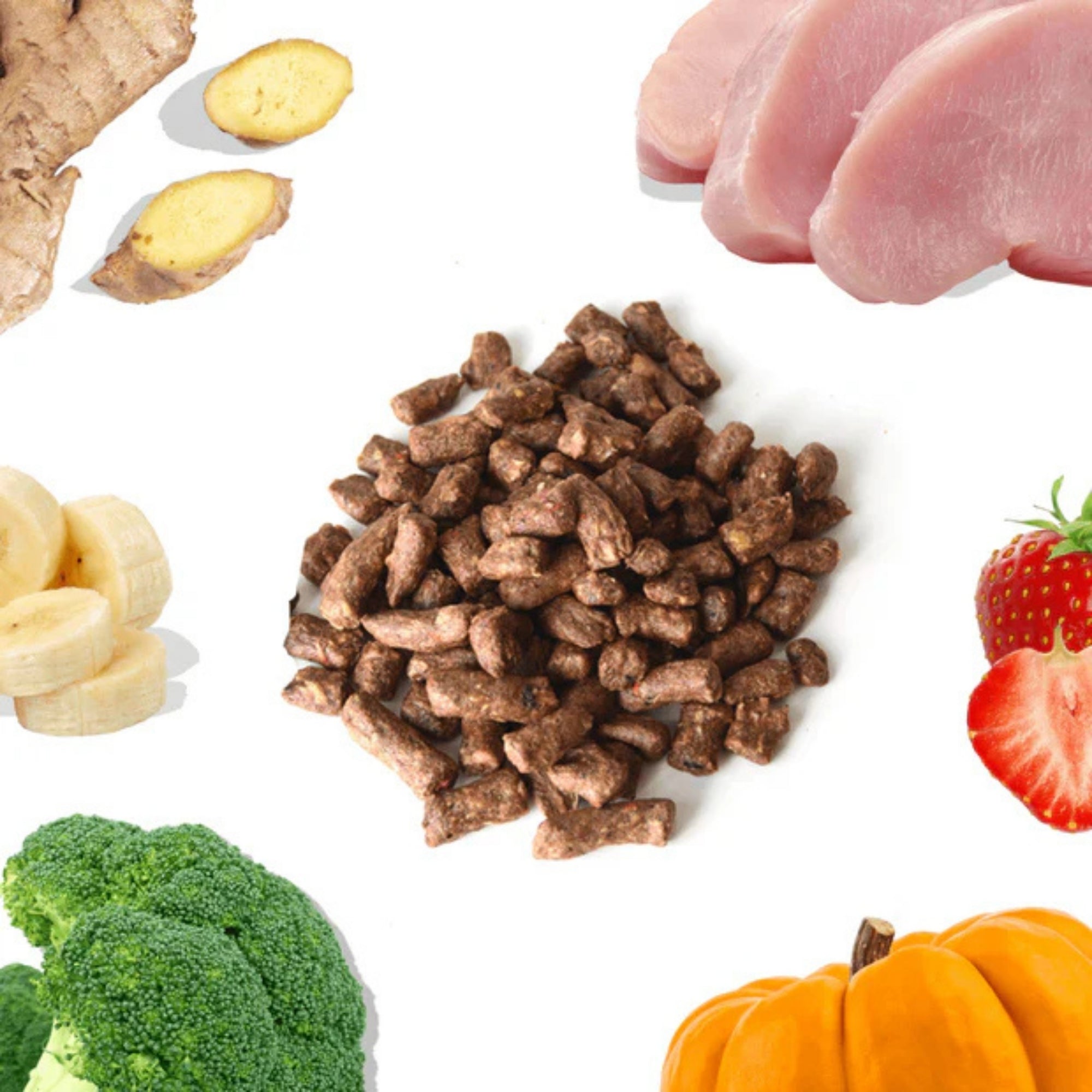 Healthy Bud Dog Freeze-dried 14oz. Turkey Bites