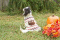 Fashion Pet Owl Sweater Cream Medium