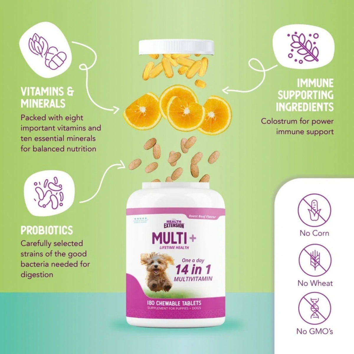 Health Extension Lifetime Vitamins 180 ct