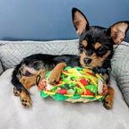 H&K Power Plush Dog Taco Tuesday Small Squeak Crinkle